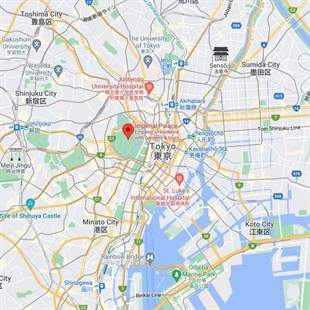 Tokyo Şehir Haritası Kolye